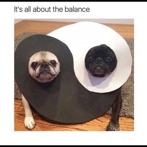 Meet your Posher, Grecia